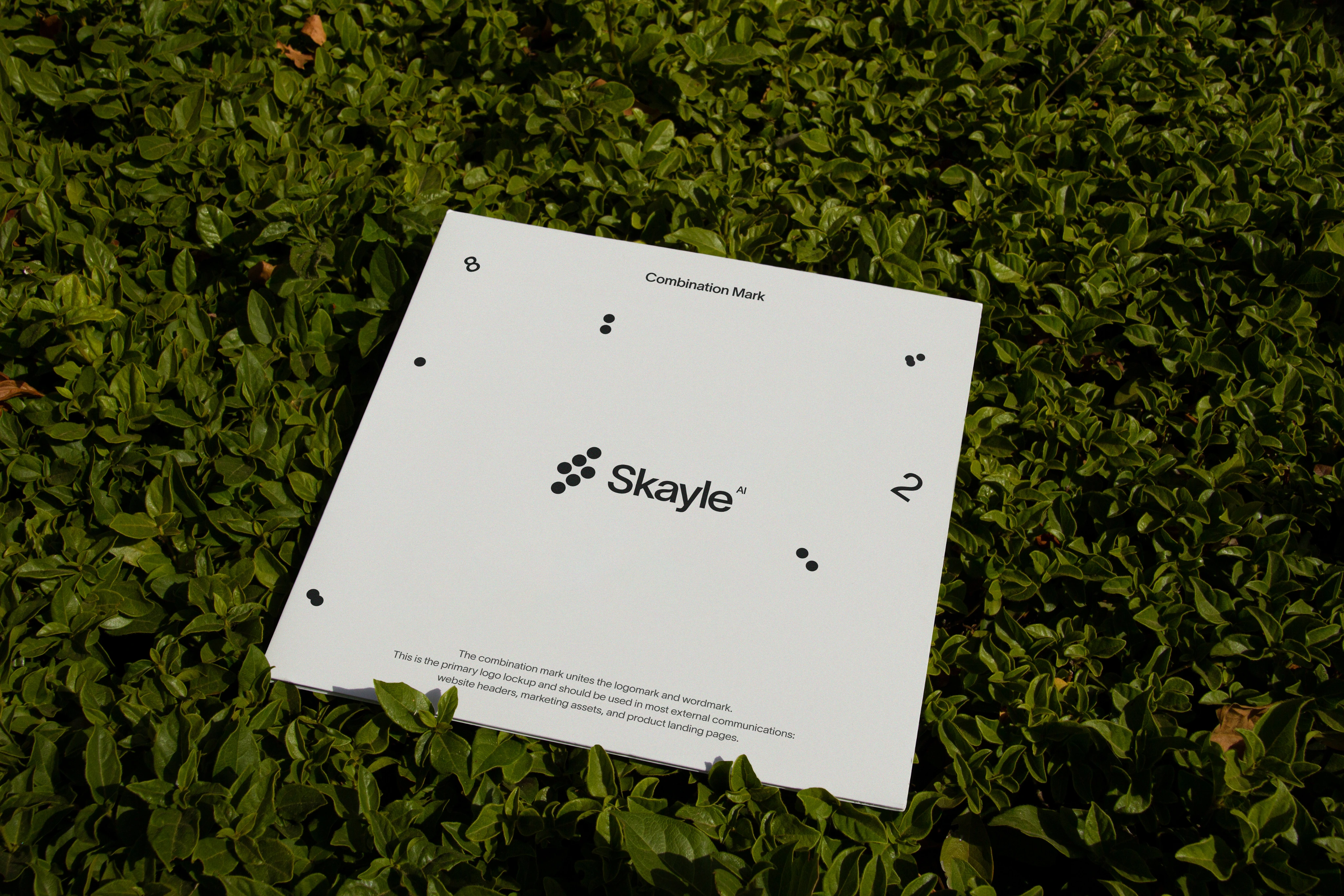 Skayle showcase 4